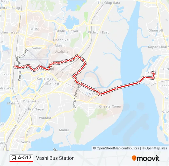 A-517 Bus Line Map