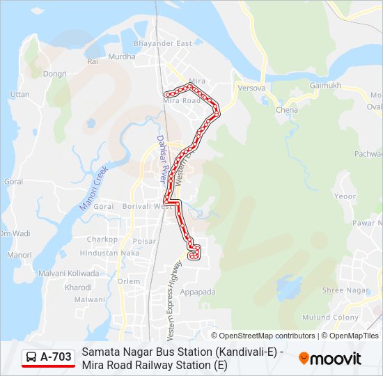 A-703 Bus Line Map