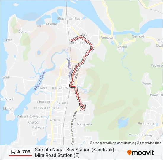 A-703 Bus Line Map