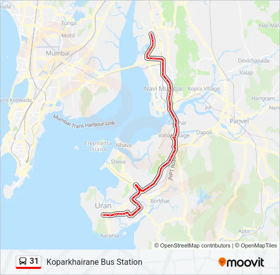 31 Bus Line Map