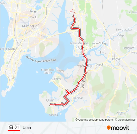 31 Bus Line Map