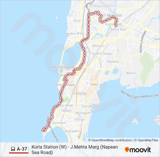 A-37 Bus Line Map