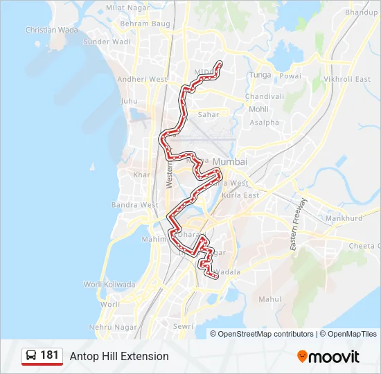 181 Bus Line Map