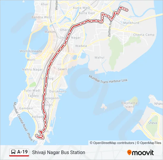 A-19 Bus Line Map