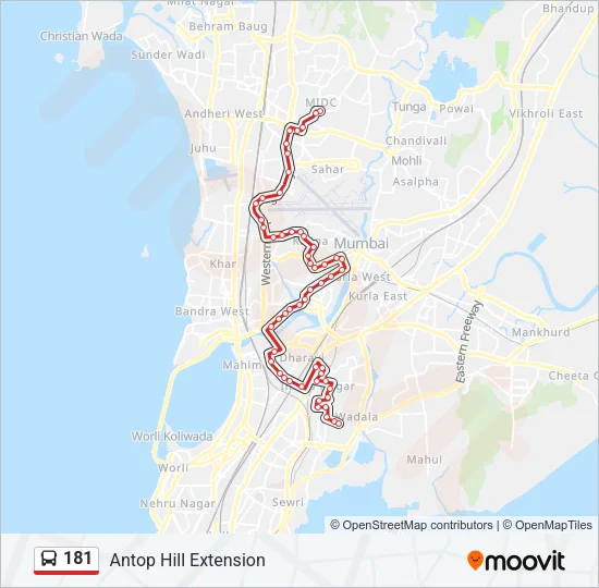 181 Bus Line Map