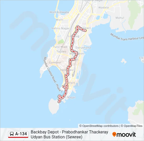 A-134 Bus Line Map