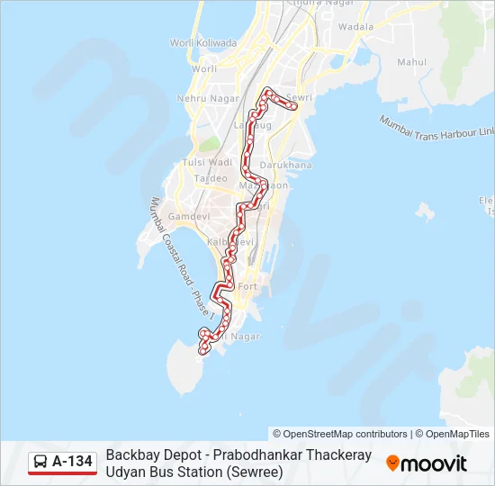 A-134 Bus Line Map