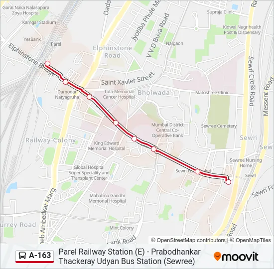 A-163 Bus Line Map