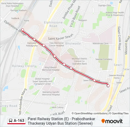 A-163 Bus Line Map
