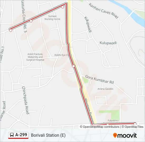 A-299 Bus Line Map