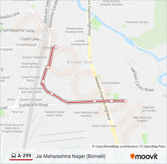 A-299 Bus Line Map