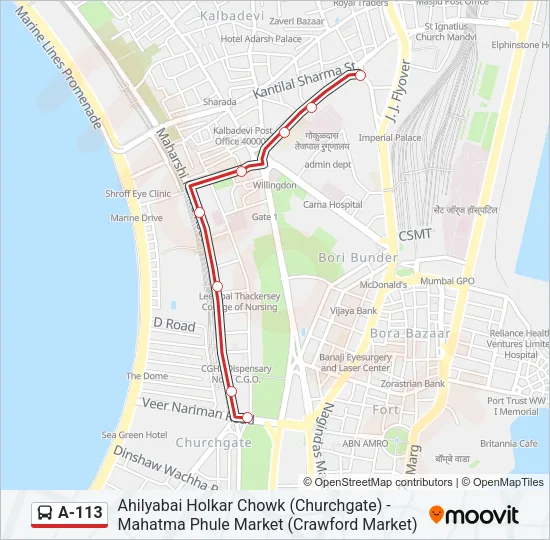 A-113 Bus Line Map
