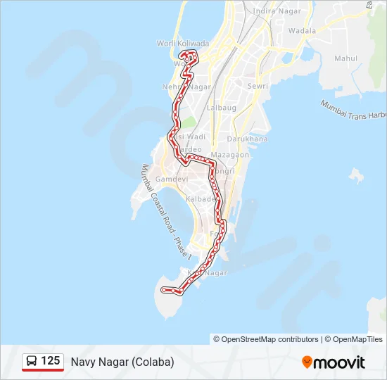 125 Bus Line Map