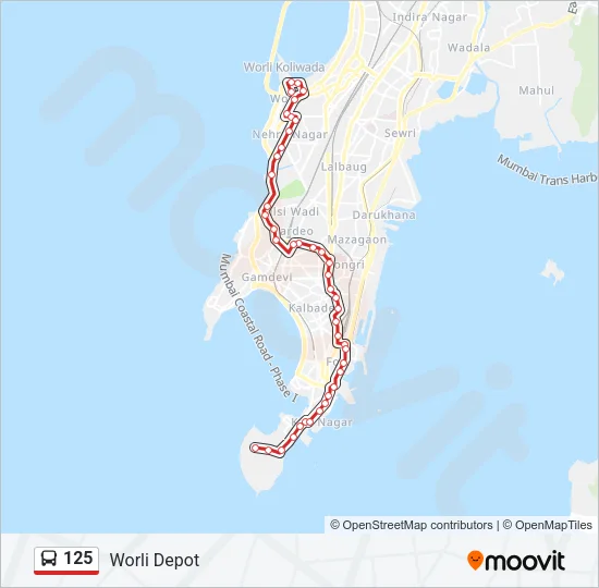 125 Bus Line Map