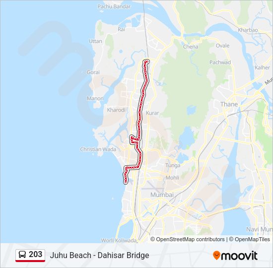 203 Bus Line Map