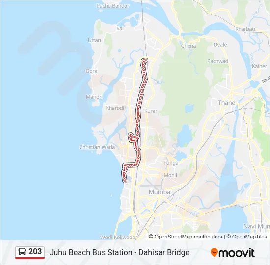 203 Bus Line Map