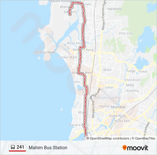 241 Bus Line Map