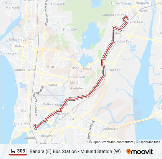 303 Bus Line Map