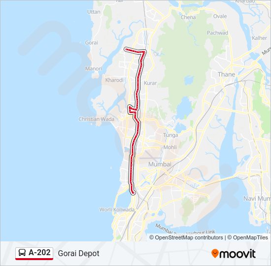 A-202 Bus Line Map