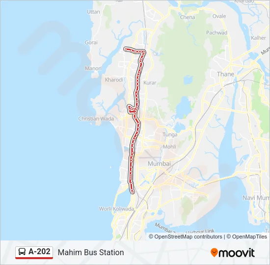 A-202 Bus Line Map