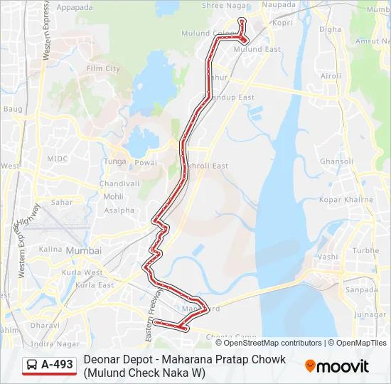 A-493 Bus Line Map