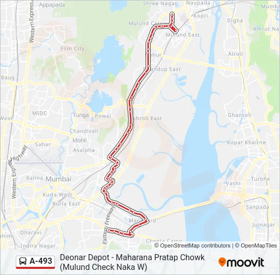 A-493 Bus Line Map