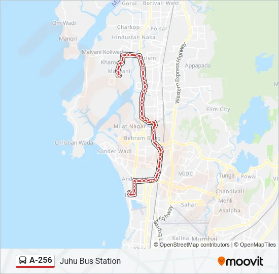 A-256 Bus Line Map