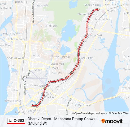 C-302 Bus Line Map