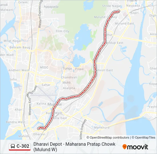 C-302 Bus Line Map