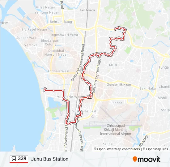 339 Bus Line Map