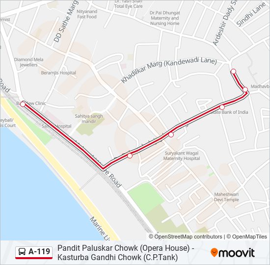 A-119 bus Line Map