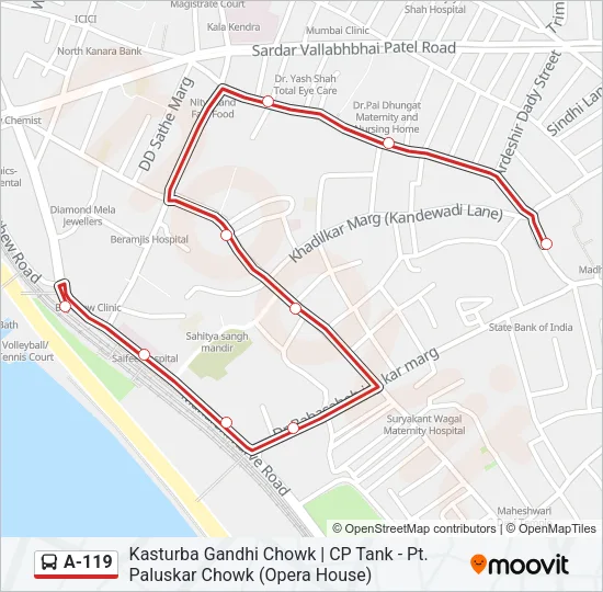 A-119 Bus Line Map