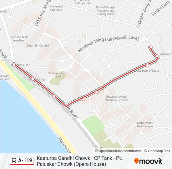 A-119 Bus Line Map