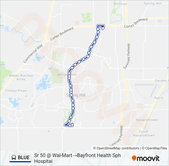 BLUE Bus Line Map