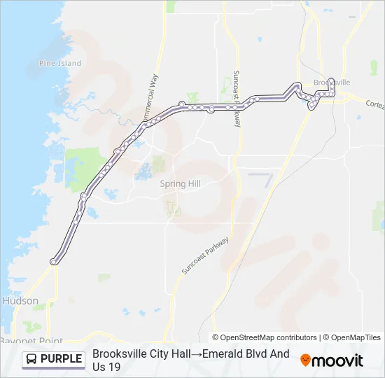 PURPLE Bus Line Map