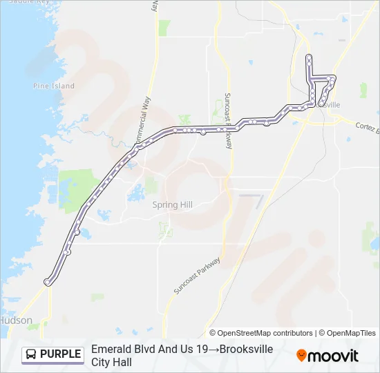 PURPLE Bus Line Map