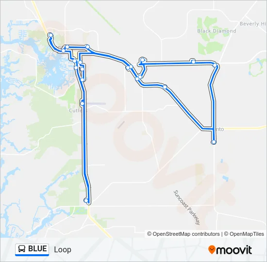 BLUE Bus Line Map