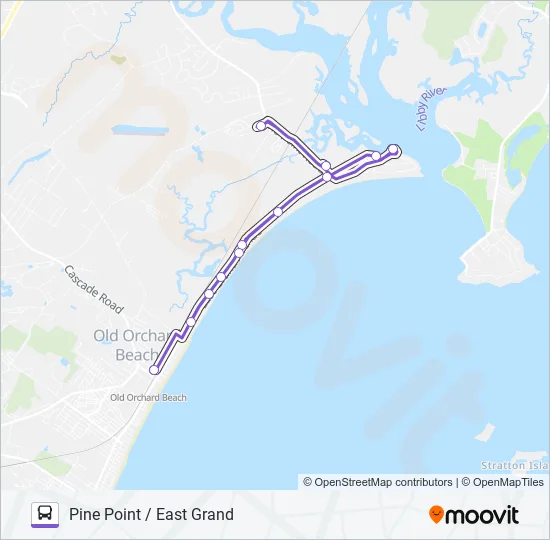 81 Bus Line Map