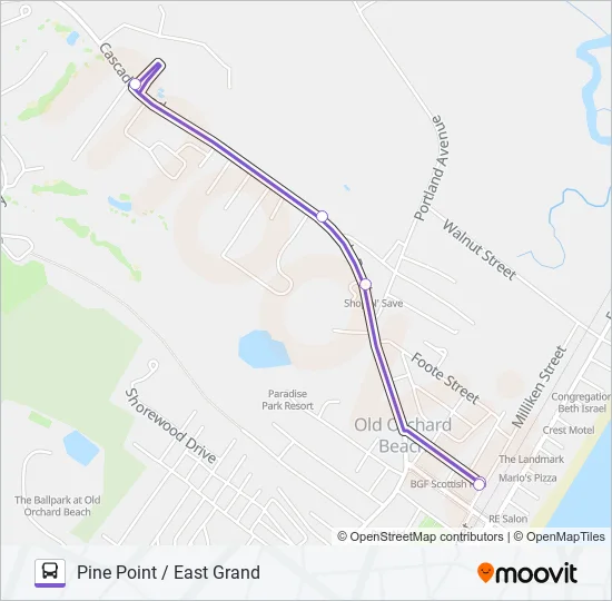 81 Bus Line Map