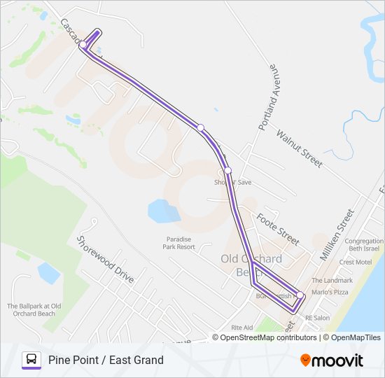 81 bus Line Map