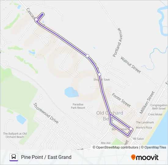 81 Bus Line Map