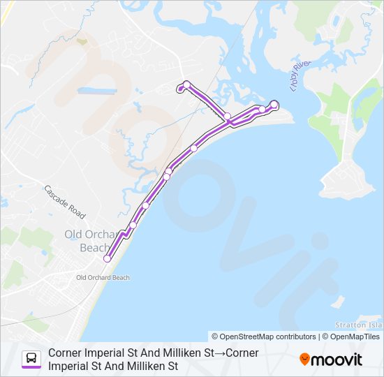 81 Bus Line Map