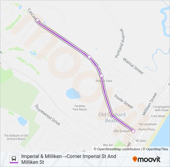 81 Bus Line Map