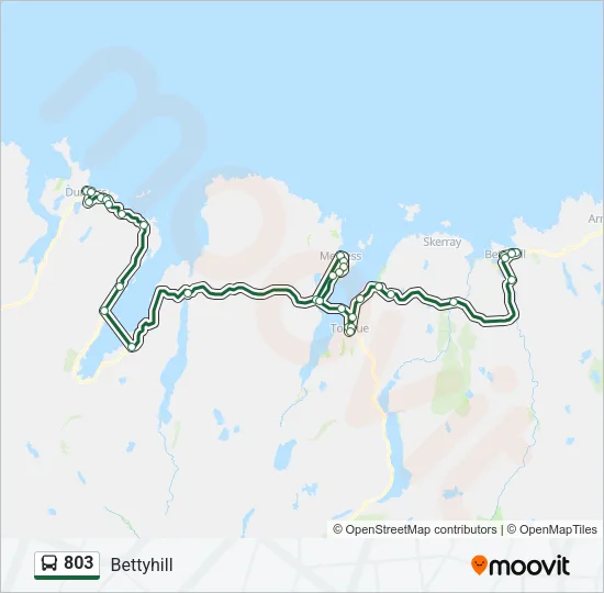 803 Bus Line Map