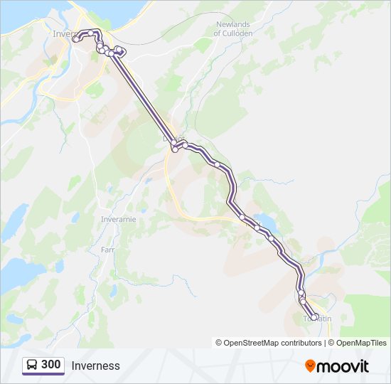 300 Bus Line Map