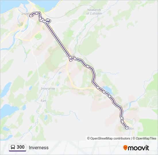 300 Bus Line Map
