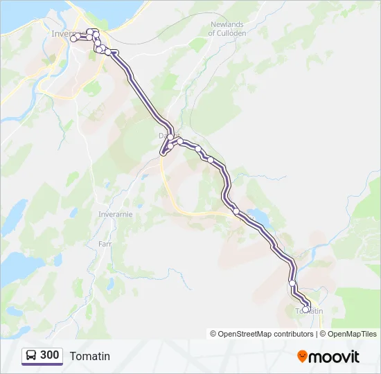 300 Bus Line Map