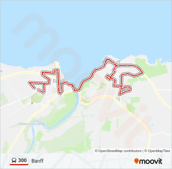 300 Bus Line Map