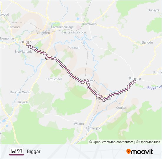 91 Route: Schedules, Stops & Maps - Biggar (Updated)