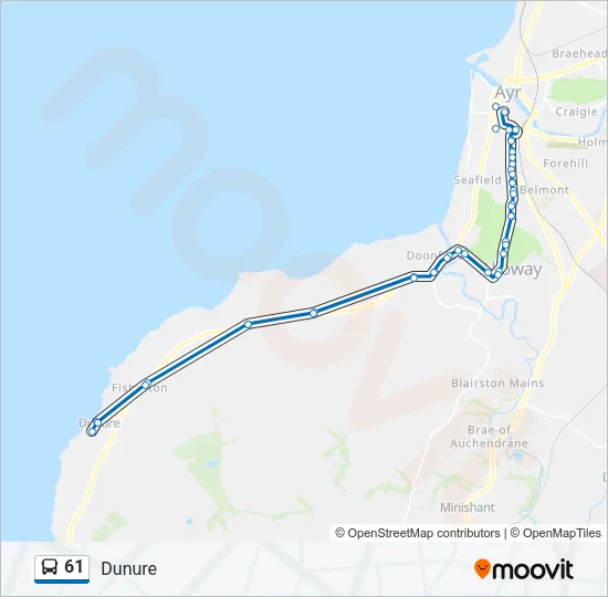 61 Bus Line Map